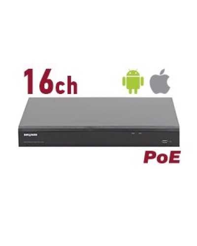 RK2216-P. Видеорегистратор IP 16-канальный. Beward в Калуге