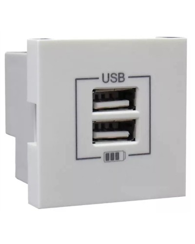 Розетка USB двойная, зарядная, белая (45439 SBR): Розетка USB двойная в Калуге