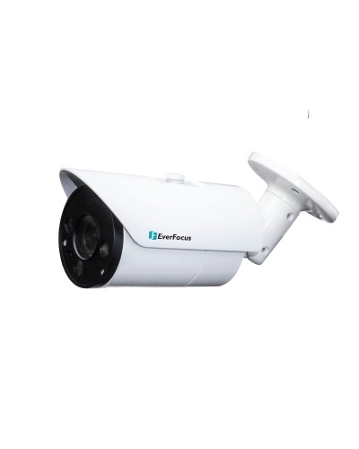 EZN-268V. Видеокамера IP купольная. EverFocus в Калуге