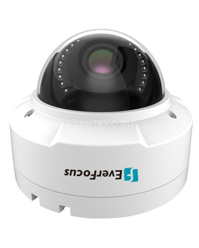 EHN-1250. Видеокамера IP купольная. EverFocus в Калуге