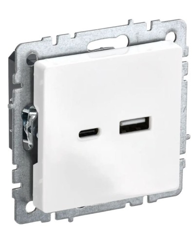 Розетка USB A+C 18Вт РЮ11-1-БрБ белый BRITE (BR-U22-018-K01). Розетка USB. IEK в Калуге