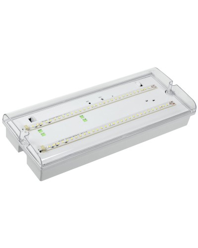 Светильник аварийный ДПА 5042-1 1ч IP65 LIGHTING (LDPA0-5042-1-65-K01). Светильник аварийный универсальный. IEK в Калуге