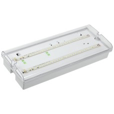 Светильник аварийный ДПА 5042-3 3ч IP65 LIGHTING (LDPA0-5042-3-65-K01). Светильник аварийный универсальный. IEK