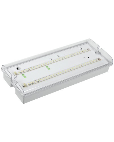 Светильник аварийный ДПА 5042-3 3ч IP65 LIGHTING (LDPA0-5042-3-65-K01). Светильник аварийный универсальный. IEK в Калуге