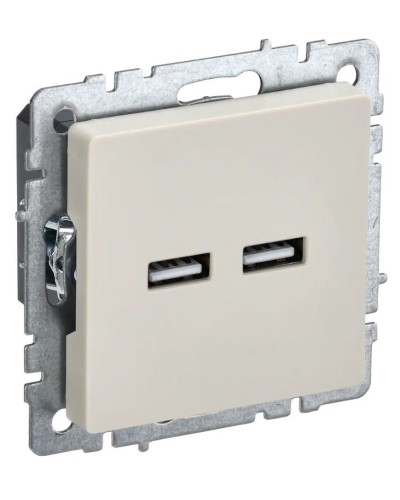 Розетка USB A+A 3,1А РЮ10-1-БрКр бежевый BRITE (BR-U21-D31-K10). Розетка USB. IEK в Калуге