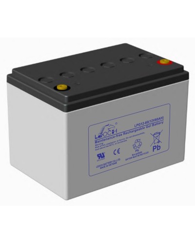 LEOCH LPG 12-60. Аккумулятор герметичный свинцово-кислотный. LEOCH в Калуге