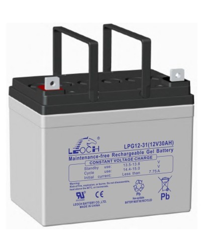 LEOCH LPG 12-31. Аккумулятор герметичный свинцово-кислотный. LEOCH в Калуге