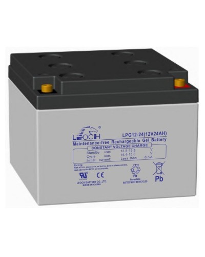 LEOCH LPG 12-24. Аккумулятор герметичный свинцово-кислотный. LEOCH в Калуге