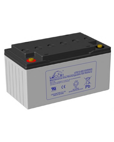 LEOCH LPG 12-65. Аккумулятор герметичный свинцово-кислотный. LEOCH в Калуге