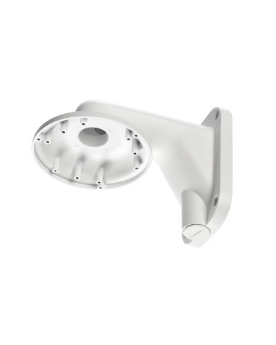 RVi-1BWM-5 white. Кронштейн настенный. RVi в Калуге