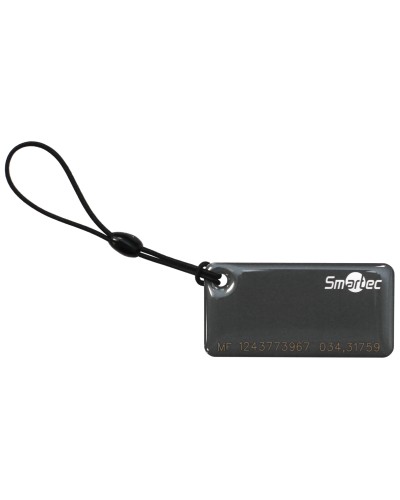 ST-PT015MF-GR. Брелок. Smartec в Калуге