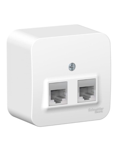 BLANCA розетка RJ11+RJ45, 2-местная, кат. 5Е, открытой установки, белый (BLNIA045111). Розетка компьютерная + телефонная с изолированной пластиной. Systeme Electric в Калуге