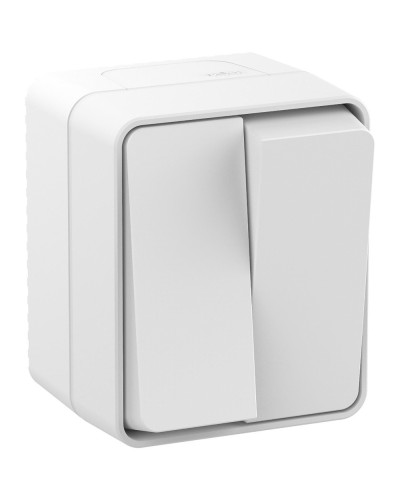 AtlasDesign PROFI54 выключатель 2-клавишный, открытой установки, белый (ATN540151). Выключатель. Systeme Electric в Калуге