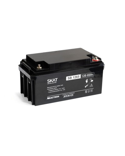 SKAT SB 1265 (2541). Аккумулятор герметичный свинцово-кислотный. Бастион в Калуге