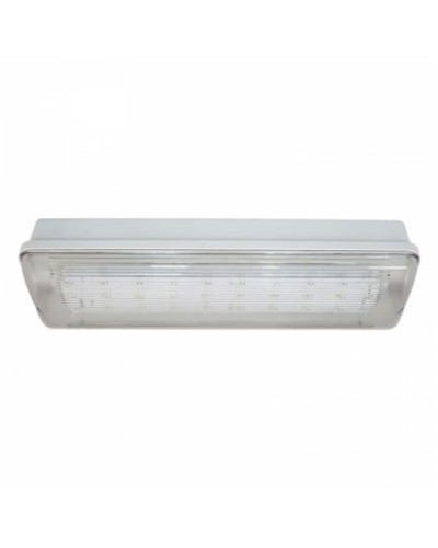 SL-213-30LED1.8 исп. 1 IP65. Светильник аварийного освещения. ИП Раченков А.В. в Калуге