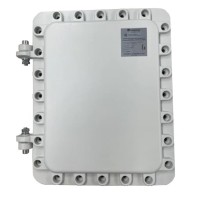 Релион-SW-EXD-A-2G-6Poe+/340W. Коммутатор с питанием по PoE взрывозащищенный. Релион