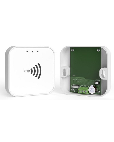 RFID-TM. Считыватель RFID. Ритм в Калуге